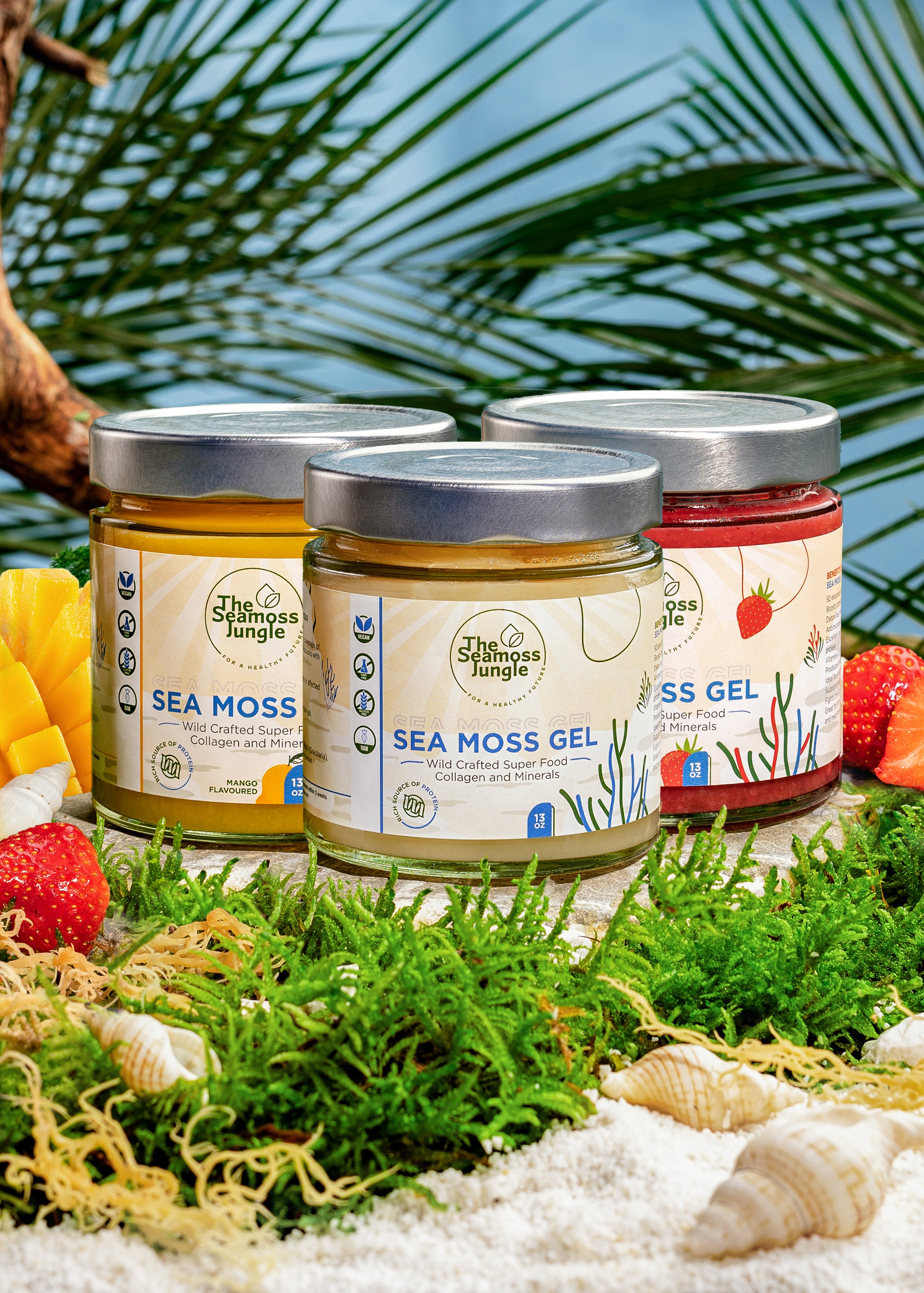 Sea Moss Gel - Family Bundle