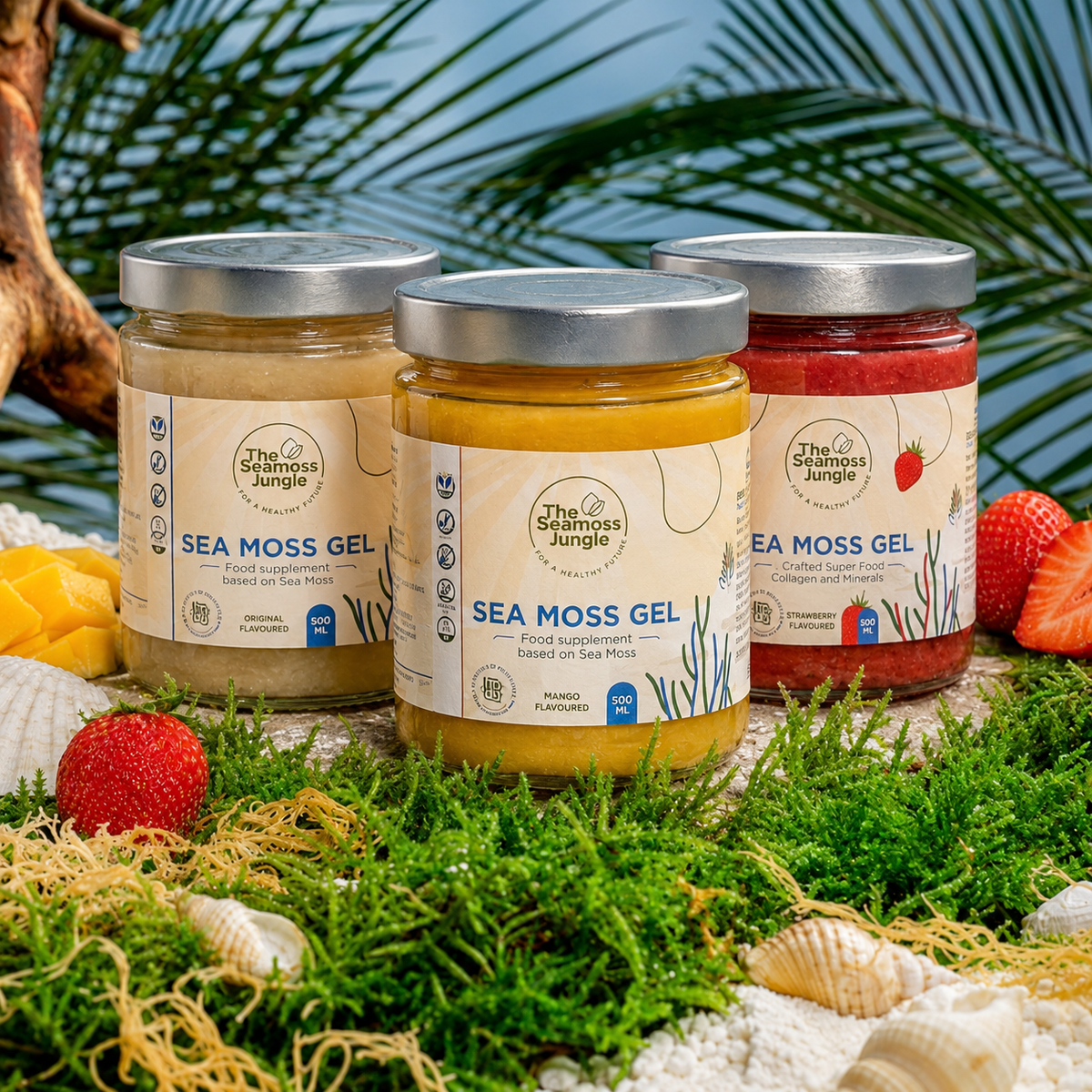 Sea Moss Gel - Family Bundle