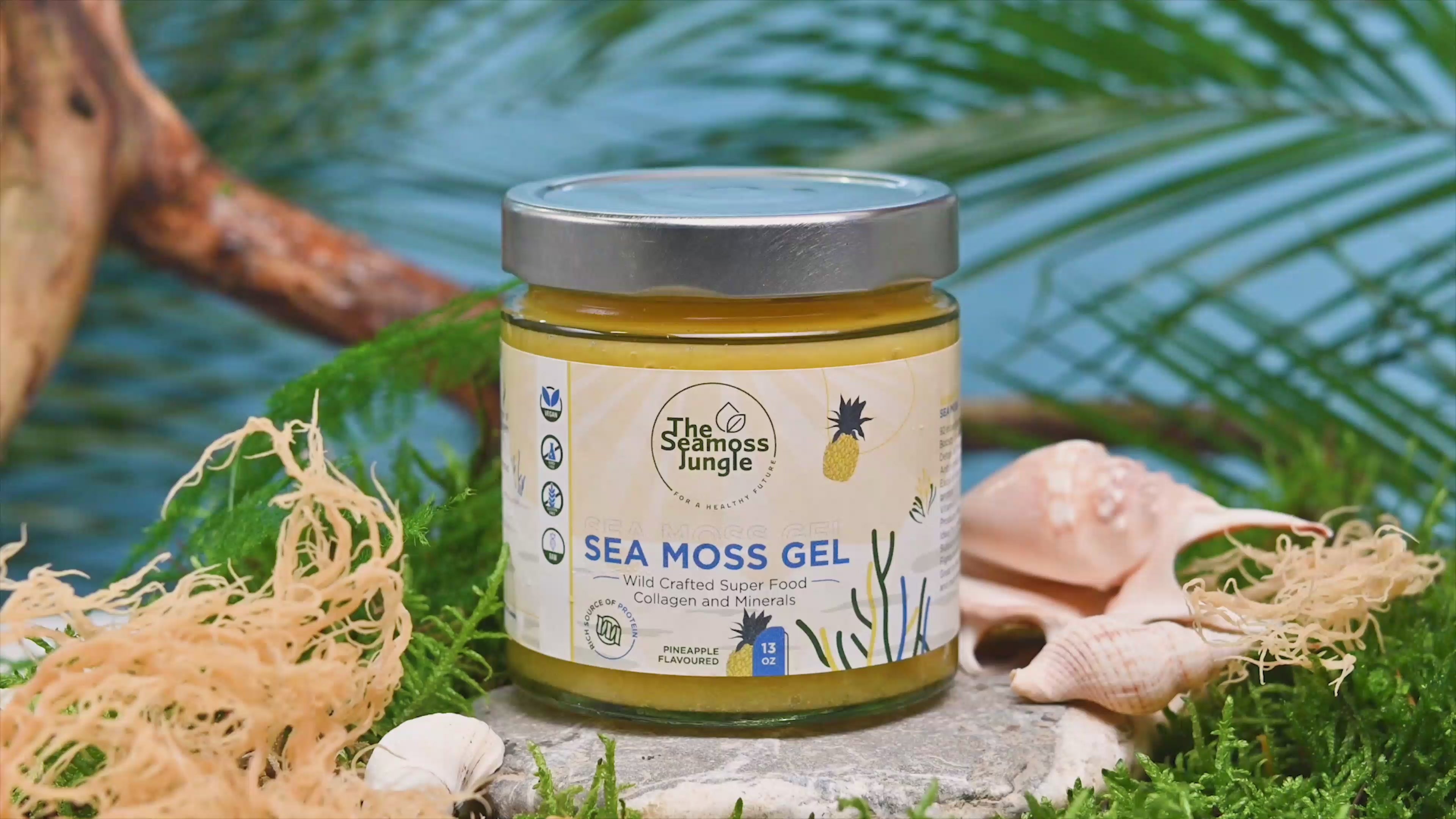 Sea Moss Gels assortiment, organisch, vegan, wildcrafted en glutenvrij.